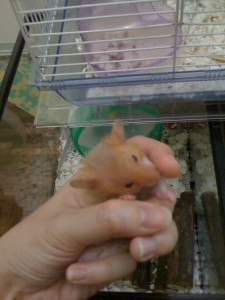 Casper Casper licking my finger :D