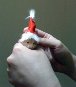 Capser looking blur Capser looking blur